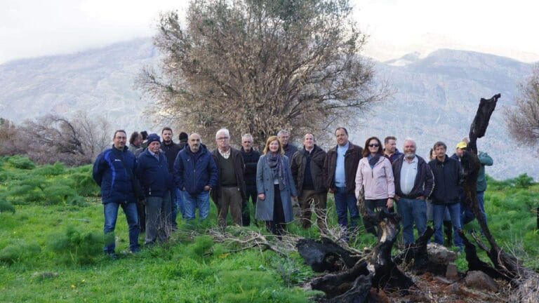 Ημερίδα για το κλάδεμα, την ποιότητα και τις καλές πρακτικές παραγωγής ελαιόλαδου, πραγματοποιήθηκε το Σάββατο 28/1 στις Μέλαμπες